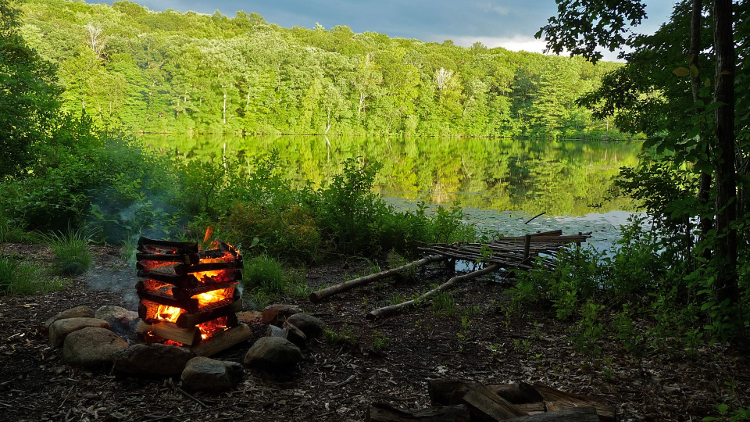 Outdoor Campfire At A Campsite In The Woods